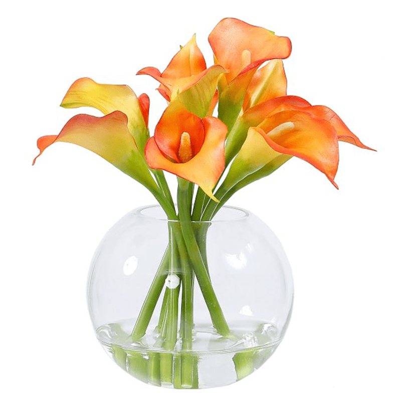 오 하 이오 주. - 200031.