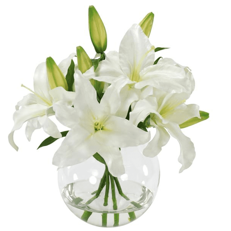 오 하 이오 주 - 200032