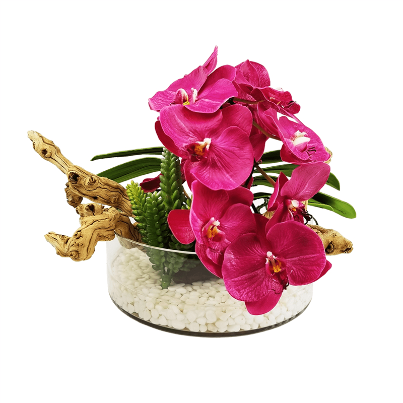 오 하 이오 주 - 200035