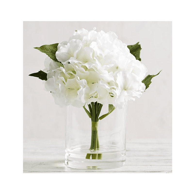 오 하 이오 주 - 2002.8