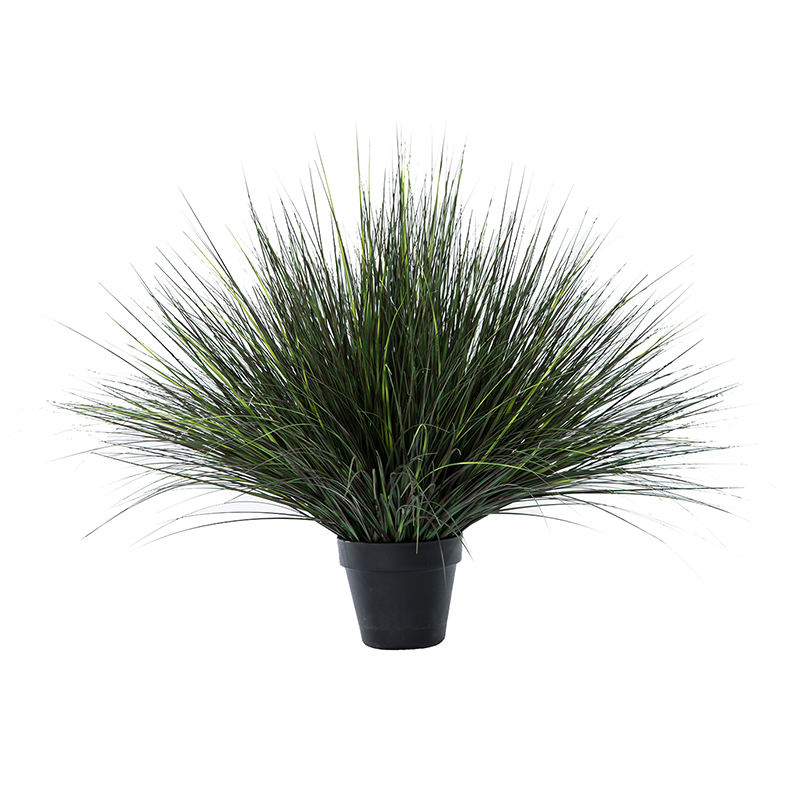 OH 1099200024 / OH 1099200025 / OH 1099200026