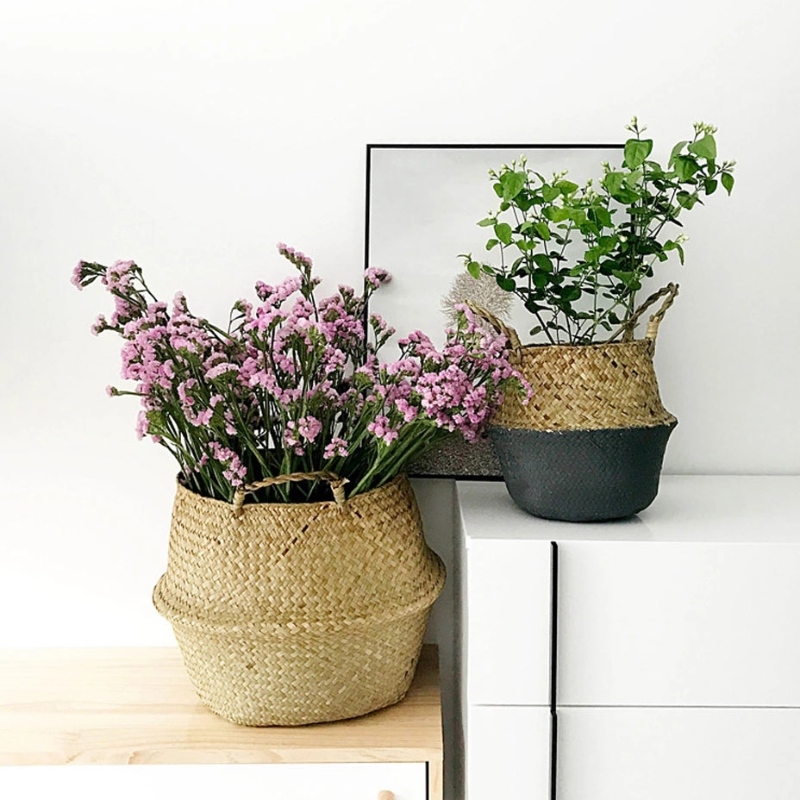 식물은 저장 거는 해초 바구니를위한 해초 아랫배 바구니를 길쌈했습니다