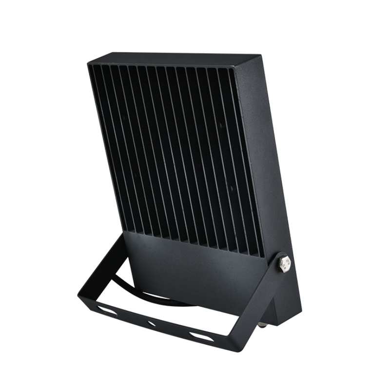 30W 50W 100 W led 팬 라이트