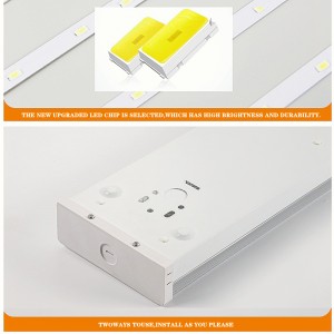 4 피트 LED 서 라운드, 4000 K 뉴트럴 화이트, 4 피트 LED 랜 턴