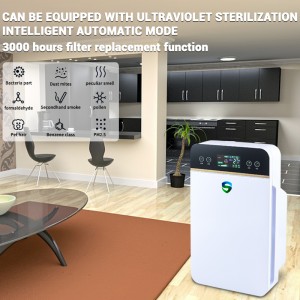 건강 음이온 공기 청정 기