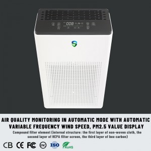 쌍 정화 기 (능 동 정화 + 수 동적 정화)