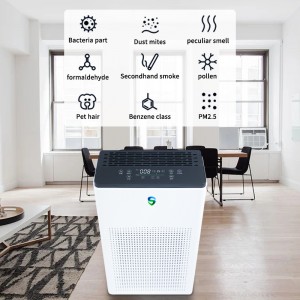 쌍 정화 기 (능 동 정화 + 수 동적 정화)