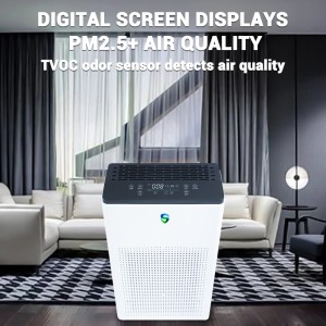 쌍 정화 기 (능 동 정화 + 수 동적 정화)