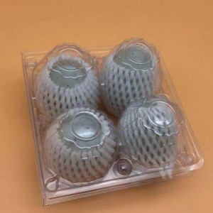 달걀 4 개용 플라스틱 트레이