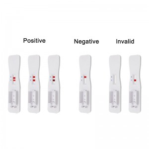 V - CHEK 사.알고리즘.2019 nCoV Ag 타액 빠 른 검 측 카드 (면역 크로마토그래피)