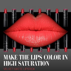 오래 지속되는 개인 라벨 립스틱