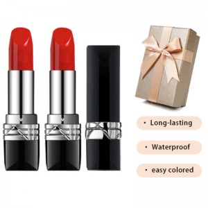 큰 브랜드 립스틱