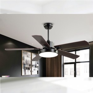 팬 라이트 FL Z BS5671C 42.