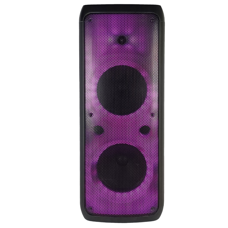 FB-PS210 RGB LED 불꽃 빛을 가진 Bluetooth 파티 스피커 디자인