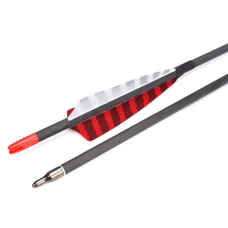 긴 옥외 112837 ID6.2mm SP500 탄소 섬유 화살표 칠면조 깃털 양궁 촬영