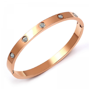 신선한 차가운 공기 티타늄 강철 팔찌