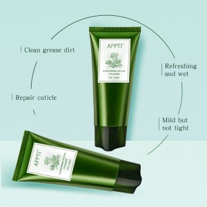 개인 레이블 Anti Acne Aloe Vera Face Wash Facial Cleanser Ganoderma Essence Fash Wash