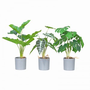 공장 직접 핫 판매 인공 녹색 장식 좋은 찾고, 진짜 감동적인 느낌으로