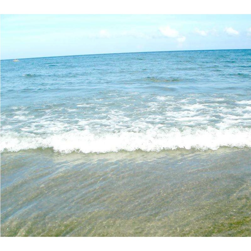 해수에서 DC 길은 전류의 부식 방지