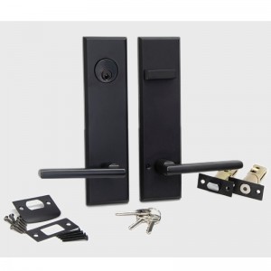 6201 Long Plate 도어 잠금 관형 레버 세트, 현대 고품질 아연 합금 손잡이 정문 및 외부 도어를위한 세트