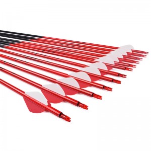 Ellongarrow 115538 30 \\\\ \\\