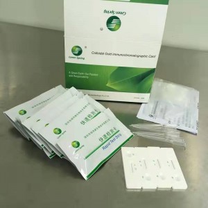 의료 Covid-19 항원 신속한 테스트 키트