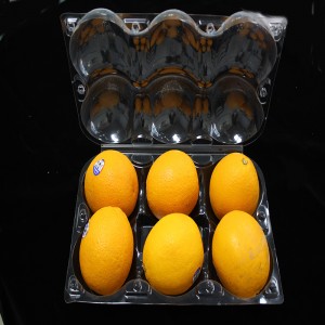 과일 및 채소 포장