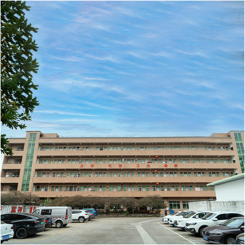 사출 금형 공장은 당신의 눈에서 어떻게 생겼는가?