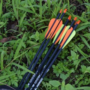 Elongarrow 115500-18 30 인치 7.8mm 대상 촬영 \\\\ hunting chranery arrows