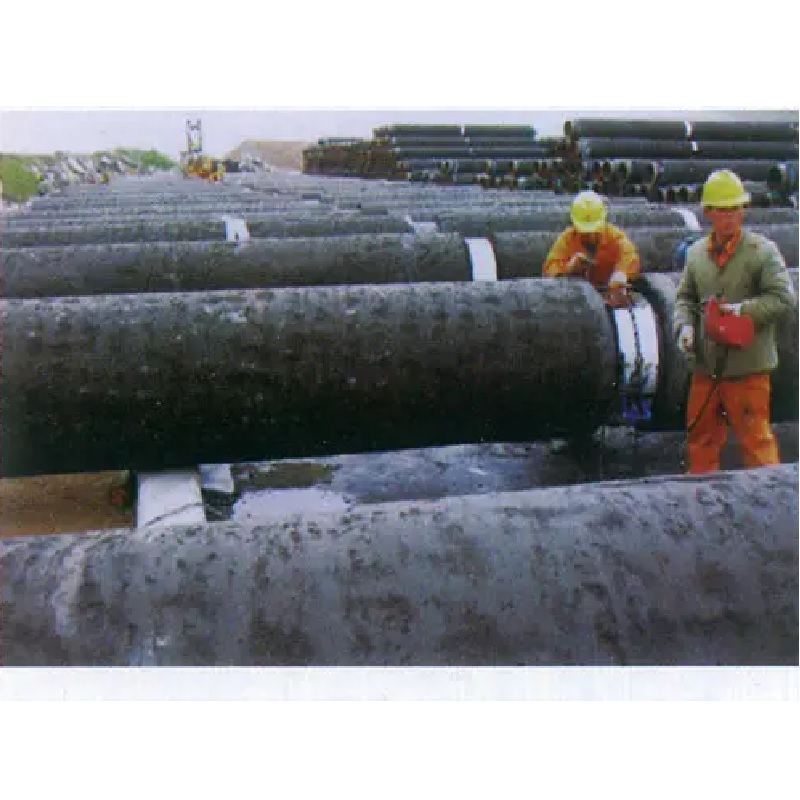 음극 보호 구조에서의 안티 고유 코팅의 복구