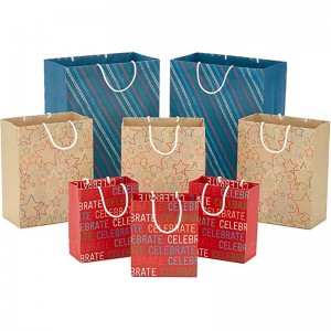 Hallmark Recyclable Gift Bag Ostortment (8 가방 : 3 개의 작은 6 \\\\ \\\