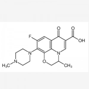 레보 플록 사신