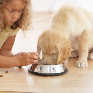 2022 경재 바닥 보호를위한 아마존 핫 판매자 매트 투명 PP 사무실 책상 의자 매트