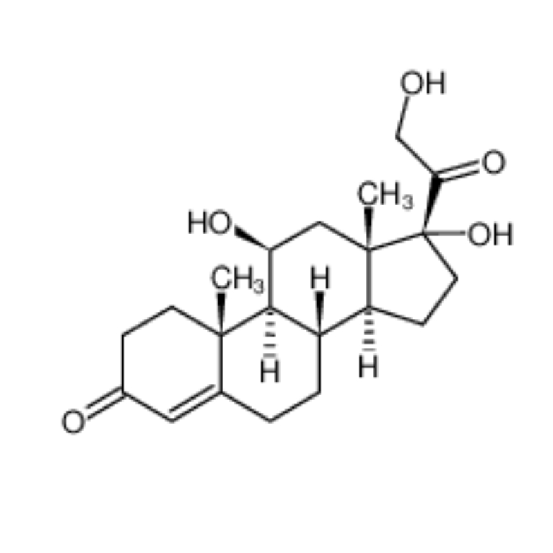 하이드로 코르티손