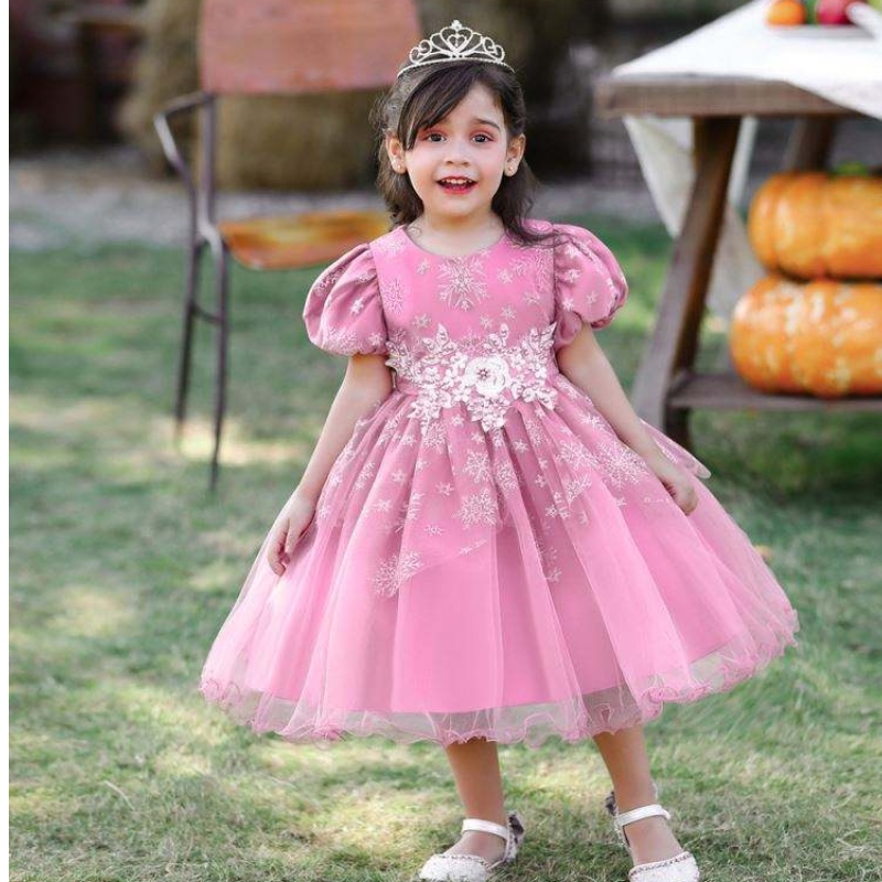 Baige Appliqued Short Sleeve New Design Baby Girls Dress Party Dress For Kids Girls