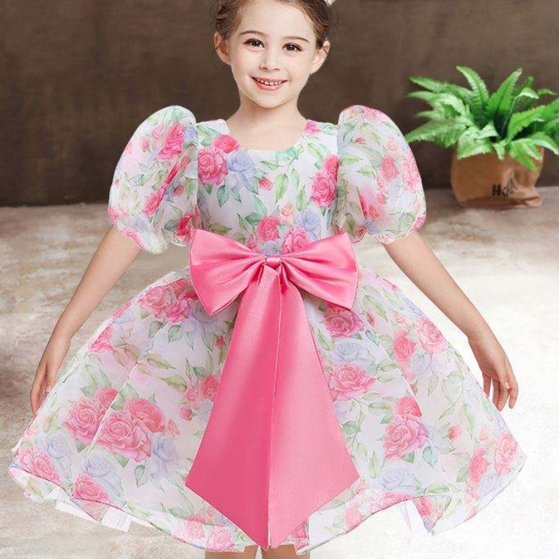 Baige New Fashion Wedding Party 공주 유아 아기 여자 옷 아이 아기 소녀 드레스