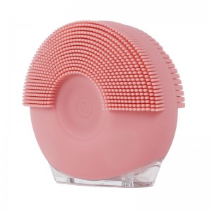 기저 전기 안면 브러시