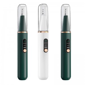 가정용 시각화 초음파 치과 미적분 청소기, 내장 고화질 카메라 및 3 가지 청소 치아 모드가있는 LED 조명