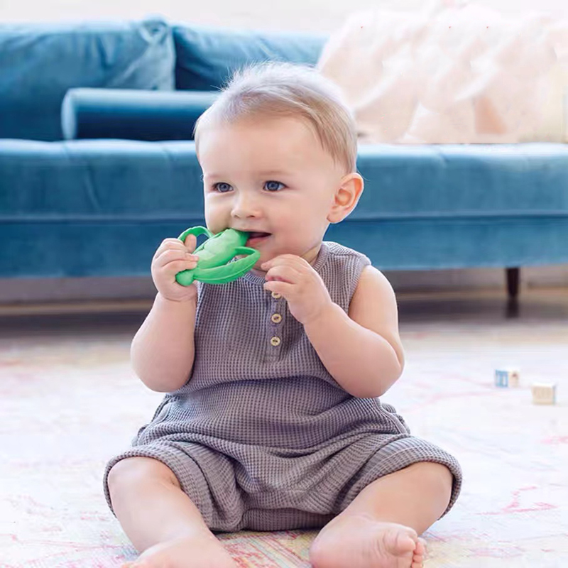 새로운 도착 아기 이빨!