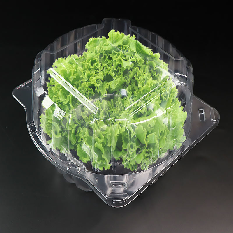 1 파운드 샐러드 허브 상추 잎이 많은 포장 상자를위한 투명한 RPET 또는 애완 동물 조용 물집 물집 용기