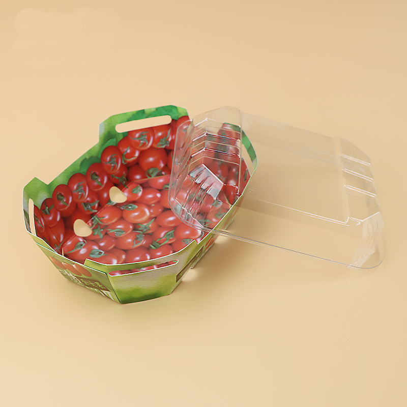 뚜껑이있는 과일 펀넷 포장 용기 용 맞춤형 플라스틱 골판지 상자