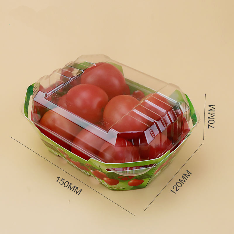 뚜껑이있는 과일 펀넷 포장 용기 용 맞춤형 플라스틱 골판지 상자