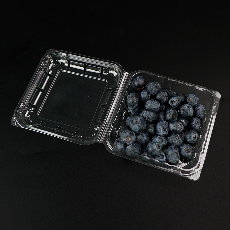 블루 베리 상자 과일 상자 뚜껑 103*108*42 mm HGF-125B