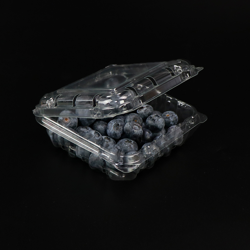블루 베리 상자 과일 상자 뚜껑 103*108*42 mm HGF-125B