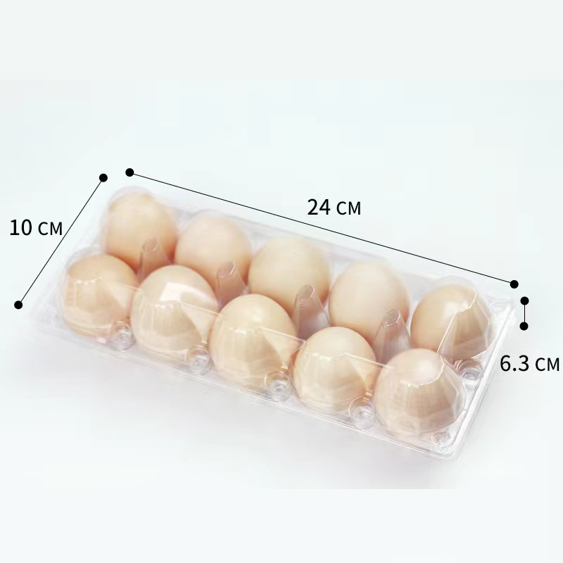 계란 트레이 (중간) 240*100*63 mm 10 그루브