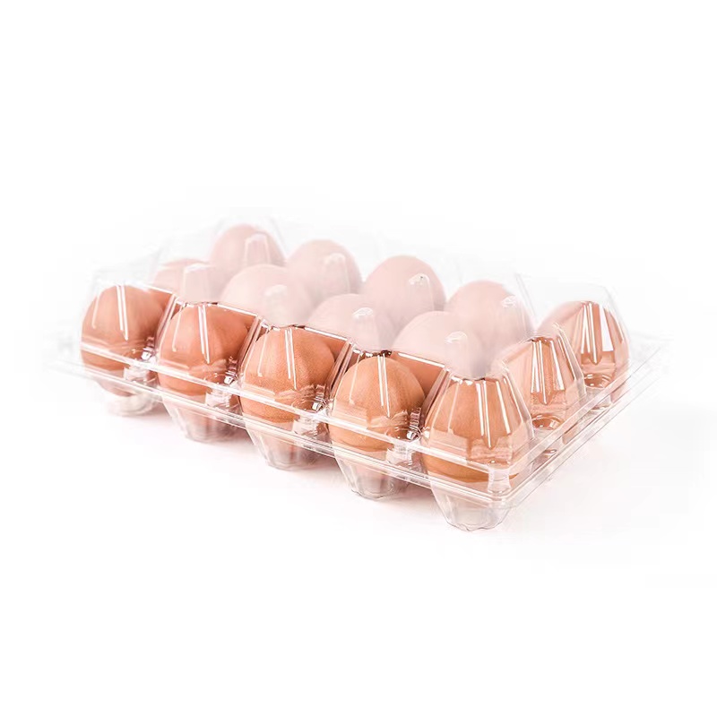 계란 트레이 245*150*67 mm 15 그루브 42 g