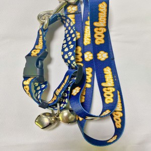 애완 동물 가죽 끈