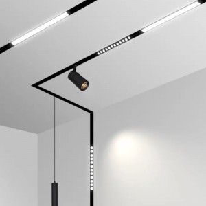 자기 궤도등 자석