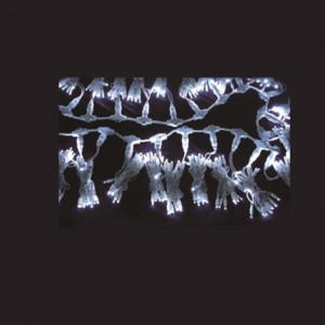 LED 크리스마스 조명 세트