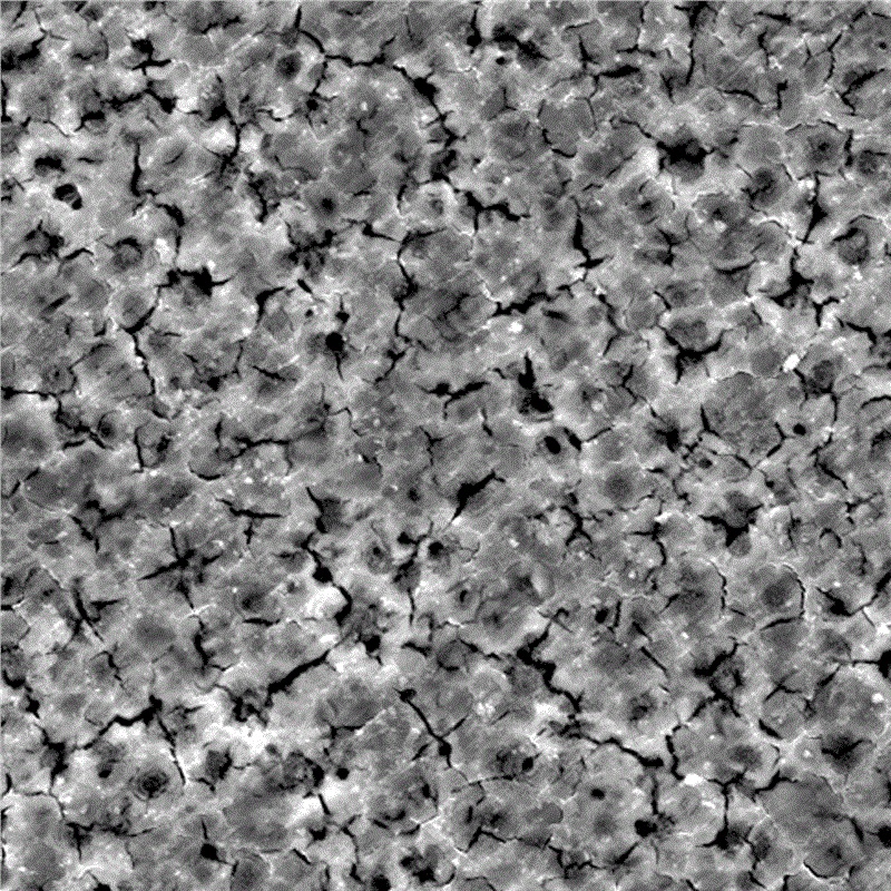 마그네슘 합금의 스프레이 기술